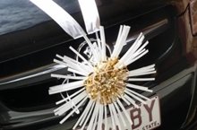 Car Decorations Decorate your wedding car with our unique range of