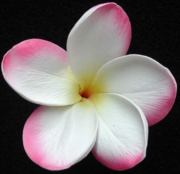 Pink White Frangipani Bouquet