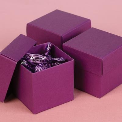 Grapevine Purple Wedding Favour Bomboniere Boxes