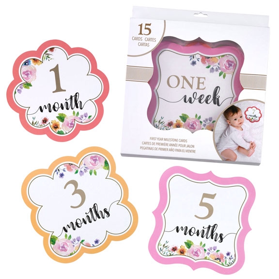 Pink Floral Monthly Baby Milestone Photo Cards