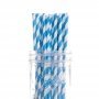 Blue Stripe Paper Straws - Pack of 25