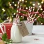 Christmas Cheer Festive Paper Straws